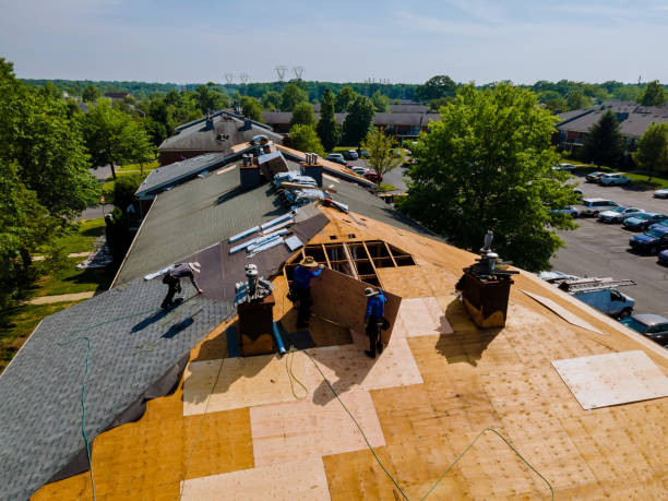 24/7 Emergency Roof Repair experts in West Columbia, SC